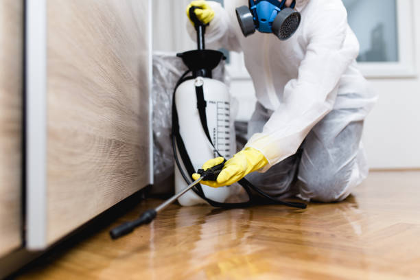 Trusted Holly Springs, NC Pest Control Experts